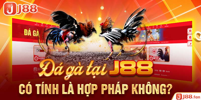 Đá Gà J88 - Mãn Nhãn Với Những Trận Chọi Kê Mang Đẳng Cấp Quốc Tế 6 Đá gà tại J88 có tính là hợp pháp không?